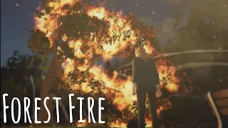 Life is Strange Before The Storm Remastered Rachel Starts A Forest Fire