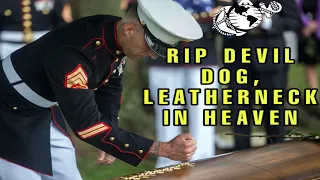 Final Salute, US Marine Major Tobin L. Lewis. #usmc #marines