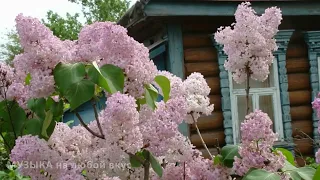 Мамин Старенький ДОМ...сл В. ХАРЬКО, муз Н. СЕМЕНОВА...