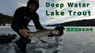 DEEP WATER LiveScope Lake Trout #fishing #icefishing