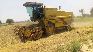 wheat Harvesting Machine | Ghandam ki Ketai ki Machine | Agriculture in Pakistan | Apna pind sanda