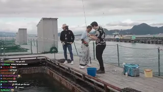 Daidus catch fish