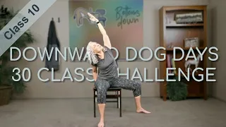 Chair Yoga - Dog Days Class 10 - 35 Minutes More Seated, Some Standing