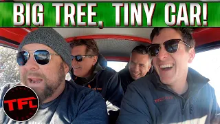 Italian Job: This Is Absolutely the WRONG Car to Take Christmas Tree Shopping!