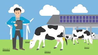 How is Dutch dairy checked? | Sustainable Dairy Chain