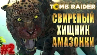 SHADOW OF THE TOMB RAIDER прохождение ► СВИРЕПЫЙ ХИЩНИК АМАЗОНКИ ► #2