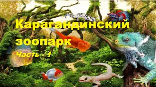 КАРАГАНДИНСКИЙ ЗООПАРК Часть - 1 #караганда #зоопарк #террариум #zoo