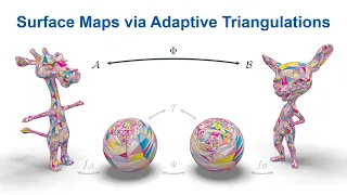 [Eurographics 2023] Surface Maps via Adaptive Triangulations