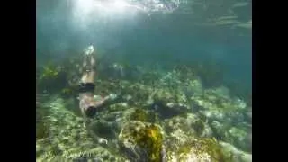 GoPro Hero 3 Black Edition: Underwater Slow Motion w/o Twixtor