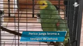 Perico se hace viral en TikTok; burla a testigos de Jehová y los hace esperar por 30 minutos