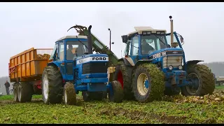 Old school sugar beet harvesting | Bietenoogst dag Hoeksche Waard