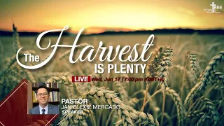 The Harvest is Plenty - Matthew 9:37 - 38