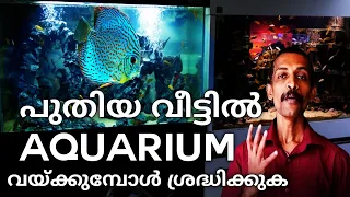 How to set up your dream aquarium at new house