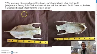 Bucket Questions Episode 9: Mystery Bone. Your random science questions answered