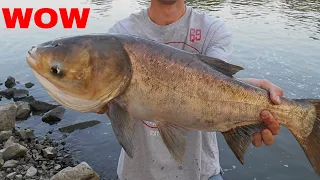 Fish hunting Video | You Won't Believe That How Many Fishes