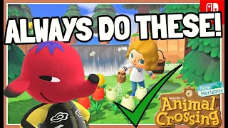 20 Things You Should ALWAYS Do in Animal Crossing: New Horizons (Guide)