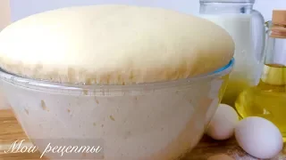 YEAST DOUGH, like FLUSH! The most successful recipe!