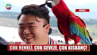 Çok renkli, çok geveze, çok kıskanç!