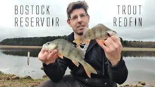 Bostock Reservoir Fishing for Trout & Redfin in Victoria