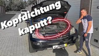 Mit dem Unfall ML das erste Mal auf die Straße!