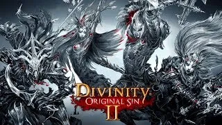 Divinity Original sin 2. Спасаем рядового Гаррета