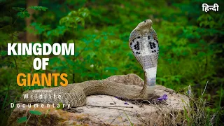 Kingdom of Giants - हिन्दी डॉक्यूमेंट्री | Wildlife documentary movie in Hindi, Animal Planet