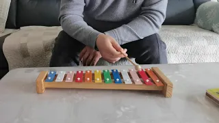 Xylophone tests the tone of happy new year