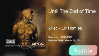 2Pac - Lil’ Homies[REMIX]