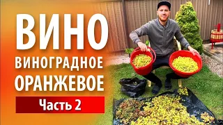 Вино «Оранжевое» из белого винограда | Часть 2