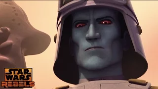 Star Wars Rebels: Bendu Looks Into Thrawn's Future