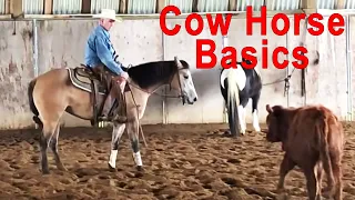 Reining & Cow Work - How To Ruin Your Horse Before Lunch