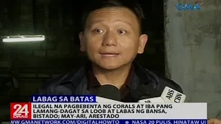 Ilegal na pagbebenta ng corals at iba pang lamang-dagat sa loob at labas ng bansa, bistado