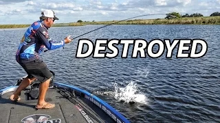 Big Bass Crushes Swimbait - Most in-depth how to video on swimbaits for bass fishing