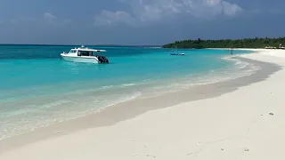The Barefoot eco hotel Maldives 2023