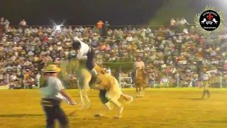 La final de Diamante -🐎Categoria basto con ensimera 🐎