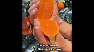 CHINA’S MYSTERIOUS VIRAL ORANGES EXPLAINED 🍊