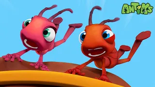 Spa-get-it | 🐛 Antiks & Insectibles 🐜 | Funny Cartoons for Kids | Moonbug