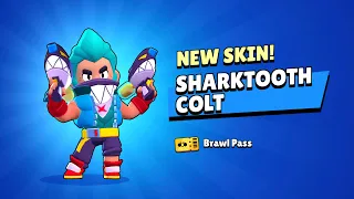 SHARK COLT 🦈