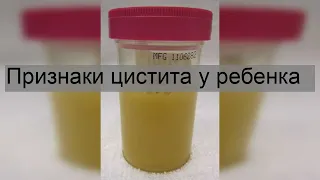 Признаки цистита у ребенка