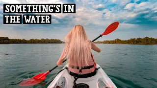 Kayak in Abu Dhabi Mangroves (Water is full of life)