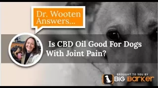 Is CBD Oil Good for Dogs With Joint Pain? | Dr. Wooten Answers...