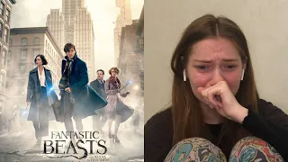 Reaction to Fantastic Beasts and Where to Find Them (first time watching)
