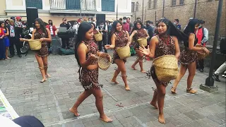 Danza Kichwa Grupo Cayambe Churis (Lumu Mama- KAMBAK)