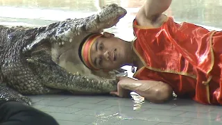 Сrocodile show in Thailand.  Part 1.  Шоу крокодилов в Тайланде. Часть 1.