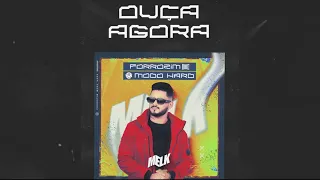 REVOADA E BAGACEIRA - DJ MELK (FORROZIN REMIX)