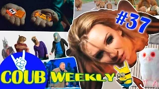 Coub Weekly # 37 Лучшее за неделю. ( Подборка приколов )