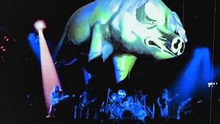 Pink Floyd @ Live in Boston 1977 (Animals Live) ROIO