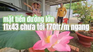 Nhà vườn 465m2 mặt tiền tỉnh lộ 796 hơn 20 loại cây ăn trái có thổ cư kế cty trường chợ ở Tây Ninh