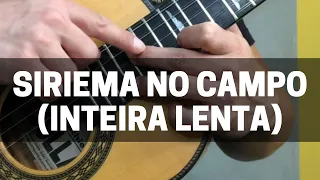 Siriema no Campo INTEIRA E LENTA PARA ESTUDO (Pt. 2 da aula)