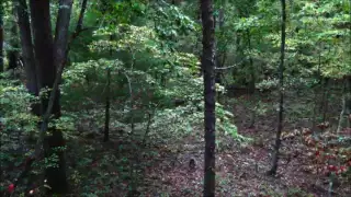 Self Filmed Bow Hunt: Deer Flips When Shot (MUST SEE)